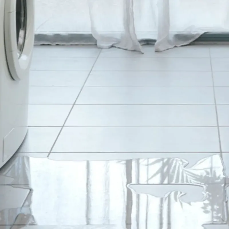 Appliance Leak Cleanup in Wolcottville, IN