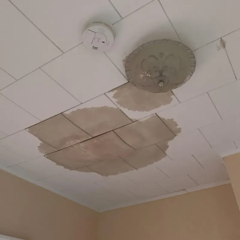 Ceiling Water Damage Repair in Wolcottville, IN