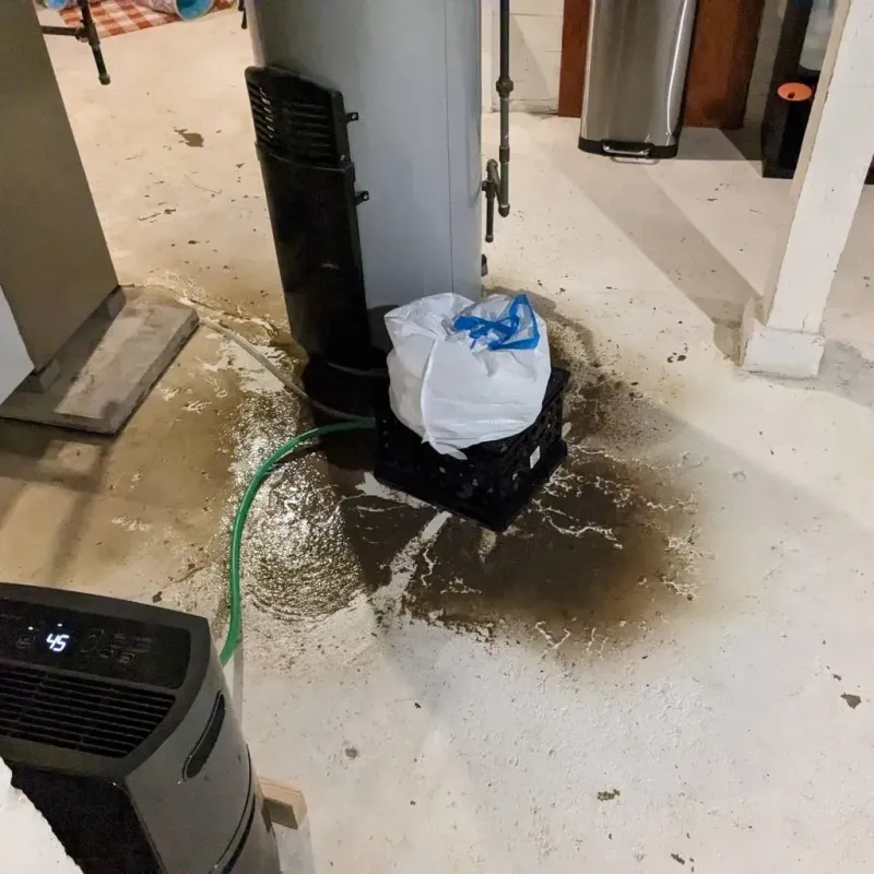 Sewage Backup Cleanup Service in Wolcottville, IN